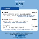 묘리깡 | [부산] 연산동 고양이 미용 "묘리깡" 중단모 미용 후기