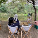 봉바위돌집민박 이미지