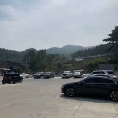시유당 티스토리