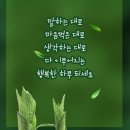 9월의 시모음 / 이해인, 오광수, 김민소, 반기룡 이미지