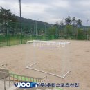 율빛초등학교 티스토리