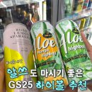 GS25 대전목상점 | GS25 알로에 하이볼 추천 내돈내산 알쓰 찐후기