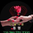 하나세탁로 이미지