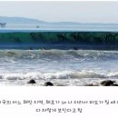 바다랑해초랑 이미지