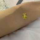 세종코아이비인후과의원 이미지