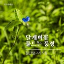 밤고지협동조합