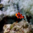 산이약국 이미지