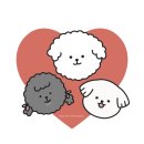 비비드봉 이미지