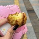 백두산? 어 너 미친거야 (1)
