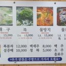 동해시-50 이미지