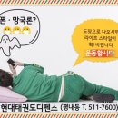 키즈 태권도 현대체육관 이미지