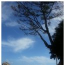 보길도우리민박 이미지