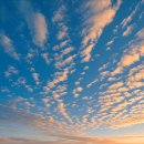 모리의 언덕 이미지