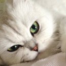 동대구동물의료센터 이미지