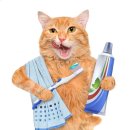 애니펫동물병원 이미지