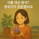 베란다에 식물 대신 원석을? 분위기가 달라졌어요
