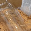 에코글라스