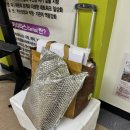 남부대학교 사회복지대학원 이미지