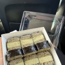 해비치cc | 제주 해비치CC 라운딩 후기 | 바다 보이는 제주 골프장