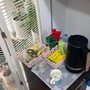 금동 | 광안리철학관 금동철학관 사주 후기