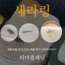 제이로랑