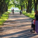 안현초등학교 이미지