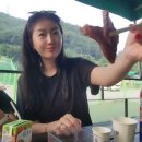 애견동반 밀양테마수영장 이미지