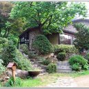 모닝펠리스 이미지