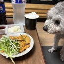 왕천파닭 | 대전 송강동 치킨 맛집 왕천파닭 포장 후기