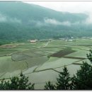 비젼스쿨 이미지