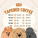 테이퍼드커피 (Tapered coffee)