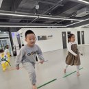 용인대청룡태권도 이미지