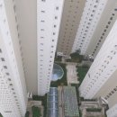 미사유튜브공인중개사사무소 이미지