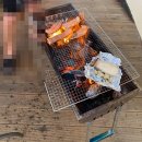 고흥 카라반, 애견동반, 바베큐가능한 숙소 [ 뚜띠아모 ]