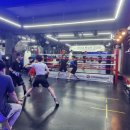 용인대SM복싱클럽 본관 이미지