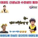 효단태권도장 이미지