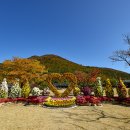 진도 운림산방 이미지