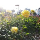 돌골공원 이미지