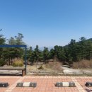 잣향기푸른숲 유아숲체험원 이미지