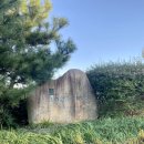 하단동1195 이미지