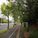 그린메디칼 이미지