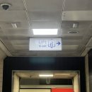 유랑민박 | [폴란드 교환학생] ⑭ 영국 런던 혼자 여행 (파리에서 런던 야간버스, 스콘 맛집, 셜록 홈즈 박물관...