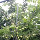 인선농장 이미지