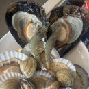 미소집 조개마당 이미지