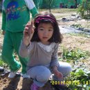 아이뜨리어린이집 이미지