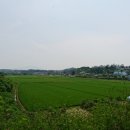 홍성역 관광안내소 이미지