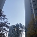 노원-상계-2003 이미지