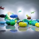 정찬부 공-이미지 이미지