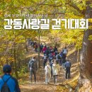 강동사랑길 | 어제 다녀온 강동사랑길 걷기대회 후기!!