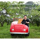 송전산방 이미지